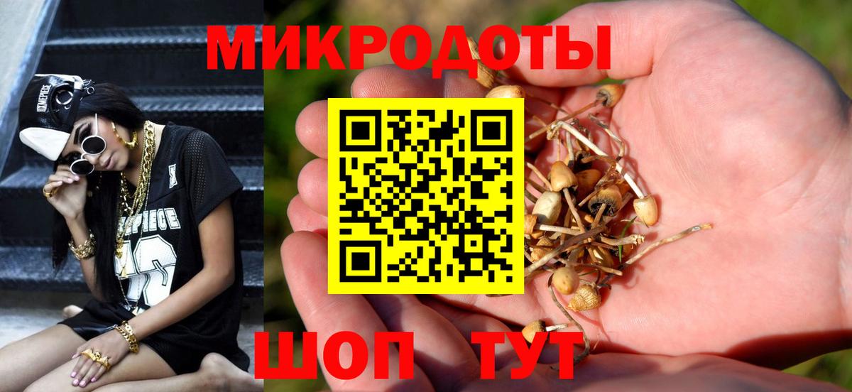 Псилоцибиновые грибы GOLDEN TEACHER Севастополь